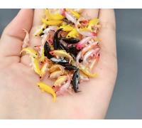 LIUBI Perles de Cristal, modèles de Poissons Rouges, matériau époxy, résine océanique 3D, Remplissage de modélisation de Mini Poissons, 5 pièces/Ensemble