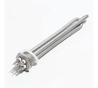 LIUCH Élément chauffant DN25 DC 12 V/24 V/48 V 300 W 600 W pour chauffage solaire, chauffage tubulaire de 2,5 cm, tous en acier inoxydable 304 (chauffage uniquement, DC 12 V, 600 W, 200 mm L)