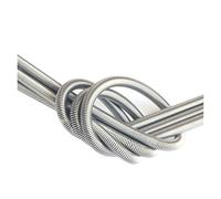 LIUCH Lot de 2 éléments chauffants for four, bobine chauffante, fil chauffant, 220 V, flexible, ressort, tube, fer, chrome, aluminium, câble 300-1000 W(800W 302mmL)
