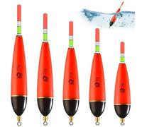 liuchanghe Lot de 5 Flotteurs de Pêche, Flotteur Lumineux de Pêche Nuit, Différents Poids, pour la rivière l'étang et la Ruche