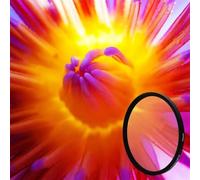 LIUDONGX Gros Plan Macro Filtre +1 +2 +4 +10 Gros Plan 37MM 40.5MM 43MM 49MM 52MM 55MM 58MM 62MM 67MM 72MM 77MM(72mm,Close up 8X)