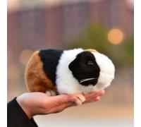 LIUHONGFEI Jouet en peluche pour hamster tricolore. Animal en peluche. Poupée cochon d'Inde. Couine lorsque le corps est pressé. (Le hamster tricolore ne peut pas faire de son.)