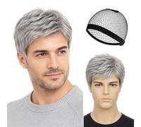LIULINY Perruque Homme, Courte Perruque Grises, Perruques Homme Naturel | Pperruque Synthétiques, Drôle de Perruques Coupe, pour Halloween Hippie Disco Cosplay Costume de Fête Quotidien (Gris)