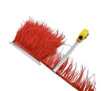 LiuliuBull 1 Meter Natural Ostrich Feather Fringe Trim - 8-10cm Colored Fluffy Feathers for Dress Sewing, Clothes Decor, and Party Decoration(Rouge)