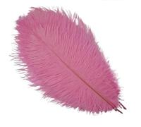 LiuliuBull 10 Plumes d'autruche colorées de 30 à 50 cm for Loisirs créatifs, vases et centres de Table(Pink,12-14inch)