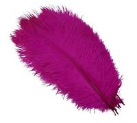 LiuliuBull 10 Plumes d'autruche colorées de 30 à 50 cm for Loisirs créatifs, vases et centres de Table(Rose,12-14inch)