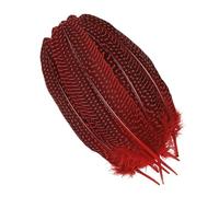 LiuliuBull 10 Plumes de pintade Teintes à Pois - 15-20 cm - Décoration Artisanale for centres de Table de fêtes(Rouge)