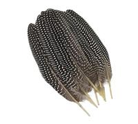 LiuliuBull 10 Plumes de pintade Teintes à Pois - 15-20 cm - Décoration Artisanale for centres de Table de fêtes(Natural)