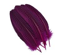 LiuliuBull 10 Plumes de pintade Teintes à Pois - 15-20 cm - Décoration Artisanale for centres de Table de fêtes(Rose Red)