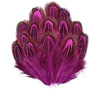 LiuliuBull 100 Plumes de Faisan à Collier de Couleur Naturelle - 4-8 cm (1,6-3,2") - Plumes décoratives for projets de Bricolage(Rose Red)