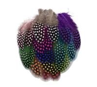 LiuliuBull 100 Plumes de pintade Teintes naturellement for Loisirs créatifs - Plumes de Faisan colorées for décoration intérieure DIY (5-10 cm)(Mixed Color)