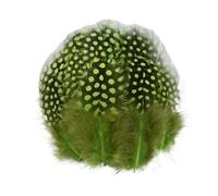 LiuliuBull 100 Plumes de pintade Teintes naturellement for Loisirs créatifs - Plumes de Faisan colorées for décoration intérieure DIY (5-10 cm)(Lightgreen)