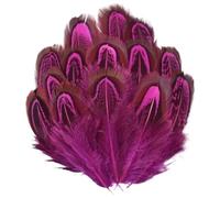 LiuliuBull 20 Plumes de Faisan colorées for Loisirs créatifs - 3-7 cm, Plumes Naturelles, for la Fabrication de Bijoux et la décoration de fêtes(Rose Red)