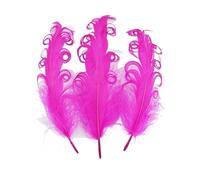 LiuliuBull 20 Plumes d'oie colorées en Spirale for Loisirs créatifs - 12-18 cm - Décoration Artificielle for Attrape-rêves, Accessoires de Mariage et de fête.(Rose Red)