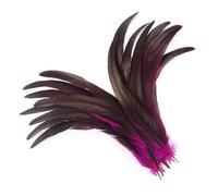 LiuliuBull 50 Plumes de Queue de Coq colorées for Loisirs créatifs | Décorations de Mariage et de fête | Longues Plumes for centres de Table(Rose Red,12-14inch)