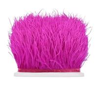 LiuliuBull Bordures en Plumes d'autruche colorées - Franges de Ruban en Plumes Naturelles de 8 à 10 cm for la Confection de vêtements et la décoration de Jupes(Rose Red,1Meter)