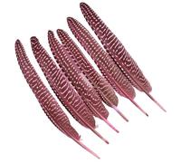 LiuliuBull Lot de 10 Plumes de Faisan de 15 à 20 cm for Loisirs créatifs - Plumes de flanc de pintade à Pois, Style Perle, for décorations de Mariage et fêtes à Faire soi-même(Pink)