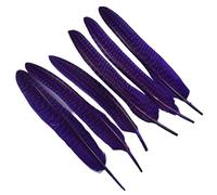 LiuliuBull Lot de 10 Plumes de Faisan de 15 à 20 cm for Loisirs créatifs - Plumes de flanc de pintade à Pois, Style Perle, for décorations de Mariage et fêtes à Faire soi-même(Violet)