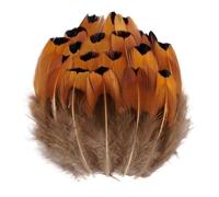 LiuliuBull Plumes de Faisan Paon Naturelles - Plumes d'autruche de qualité supérieure for la Broderie, l'artisanat, Les coiffes, la Petite décoration et la création de Bijoux(Dark Gray,20Pcs)