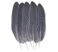 LiuliuBull Plumes de Faisan Paon Naturelles - Plumes d'autruche de qualité supérieure for la Broderie, l'artisanat, Les coiffes, la Petite décoration et la création de Bijoux(Grey,100Pcs)