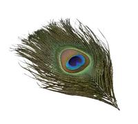 LiuliuBull Plumes de Faisan Paon Naturelles - Plumes d'autruche de qualité supérieure for la Broderie, l'artisanat, Les coiffes, la Petite décoration et la création de Bijoux(Dark Pink,20Pcs)