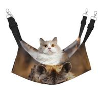 LiuMng Grand hamac pour chat - Lit réglable pour animal domestique - Imprimé hyène solitaire - Tapis de repos pour chaton et petits animaux