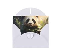 LiuMng Lot de cartes vierges avec enveloppes blanches et jolies cartes de vœux d'anniversaire 10 x 15 cm, pour toutes les occasions