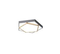 LIUNJHUY Plafonnier LED de personnalité créative, plafonnier à économie d'énergie à lumière Blanche 6000K, plafonnier encastré, Salon, Chambre à Coucher, luminaires décoratifs Interesting