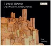 Liuwe Tamminga - Organ Music S. Barbara Mantua [New CD]