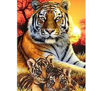 LIUWW Décoration d'intérieur-Coucher de Soleil Trois Tigres - Peinture numérique pour Adultes Débutant DIY Peinture à l'huile numérique Comprenant Une Toile au Pinceau et de la Peinture Acrylique