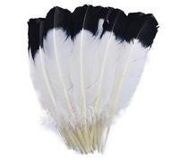 LIUXIN 10 pièces/lot Plume d'aile de Dinde Plumes d'imitation d'aigle à Pointe Noire pour Artisanat décorations artificielles Bricolage Carnaval Assesoires