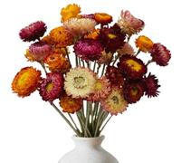LIUYIDM Fleur Sechees Decoration 20 Pièces Bouquet Fleurs Séchées