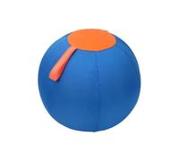LIUZHIPENG Grande balle gonflable d'extérieur pour chiens avec pompe à ballon résistante C7d4