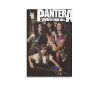 LIUZHIX Dimebag Darrell Poster sur toile sans cadre pour salon, chambre à coucher, 50 x 75 cm