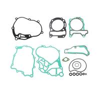 LIUZIKUN Ensemble complet de joints de rechange pour moto GTV 300 250 125 - Joints de culasse de moteur - Carter de moteur - Réservoirs d'huile