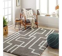 Livabliss Alor Tapis à poils longs moderne berbère doux pour chambre à coucher et salon - Grand tapis à poils longs style bohème neutre en peluche épais facile d'entretien - Gris foncé et blanc - 160