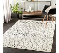 LIVABLISS Tapis de Salon à Poils Courts Doux Berbère Ethnique LEONOR 152x213cm Blanc/Noir