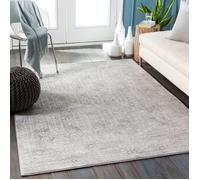 LIVABLISS Tapis de Salon à Poils Courts Doux Vintage Oriental VICKY 160x215cm Blanc/Gris