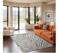 LIVABLISS Tapis de Salon à Poils Courts Doux Zébré Bohème CYBELE 160x220cm Gris Foncé/Beige