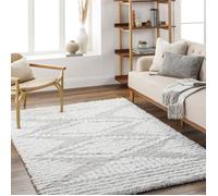 LIVABLISS Tapis de Salon à Poils Longs Doux Shaggy Bohème NURIA 160x220cm Blanc/Gris