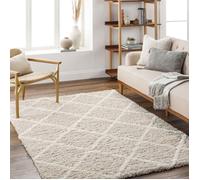 LIVABLISS Tapis de Salon à Poils Longs Doux Shaggy Scandinave Bohème JANE 160x220cm Blanc/Beige