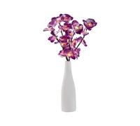 LIVARNO® Vase décoratif avec branches lumineuses LED (Fleur d'orchidée, violette)