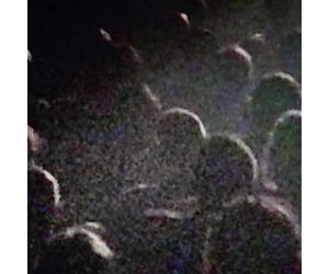 Live a La Gaite' Lyrique Paris 2014
