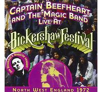 Live at Bickershaw Festival