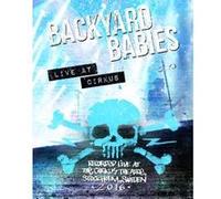 Live at Cirkus DVD E