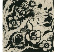 Madwort Saxophone Quartet - Live at Hundred Years Gallery [Import]