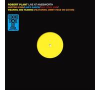LIVE AT KNEBWORTH 1990 (RSD)