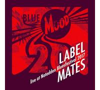 Live at Notodden Blues Festival (20 Years of Blue Mood)