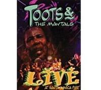 Live at Santa Monica Pier E