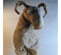 Live at Sonic Whip 2022 (Grade a Peanut Sauce)